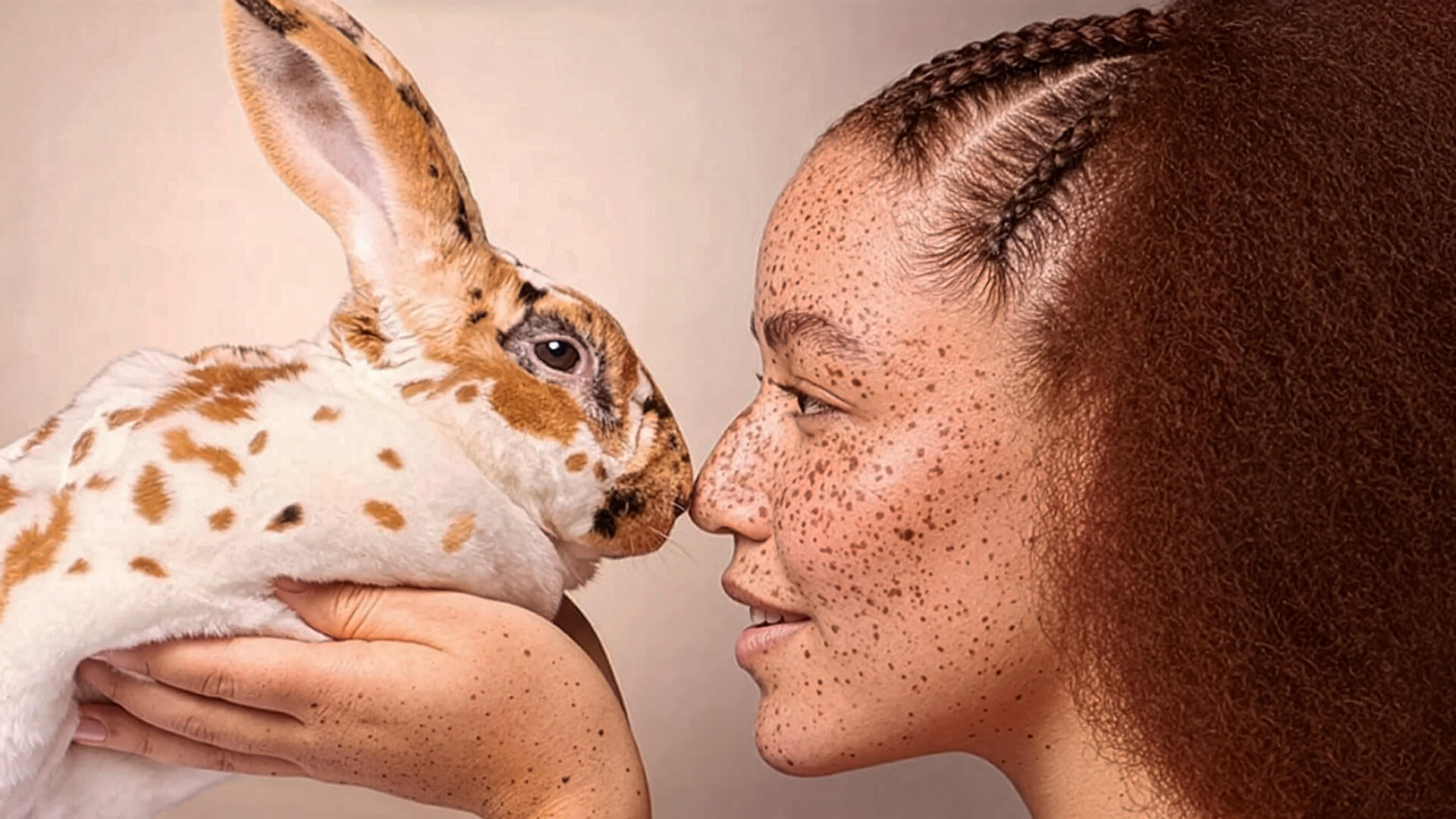 Projectbeeld voor Garnier