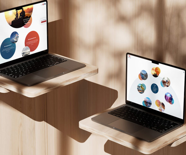 Wilgenhaege websites op laptop – gemini design